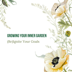 The Guided Clarity Journal | Eileen's Path